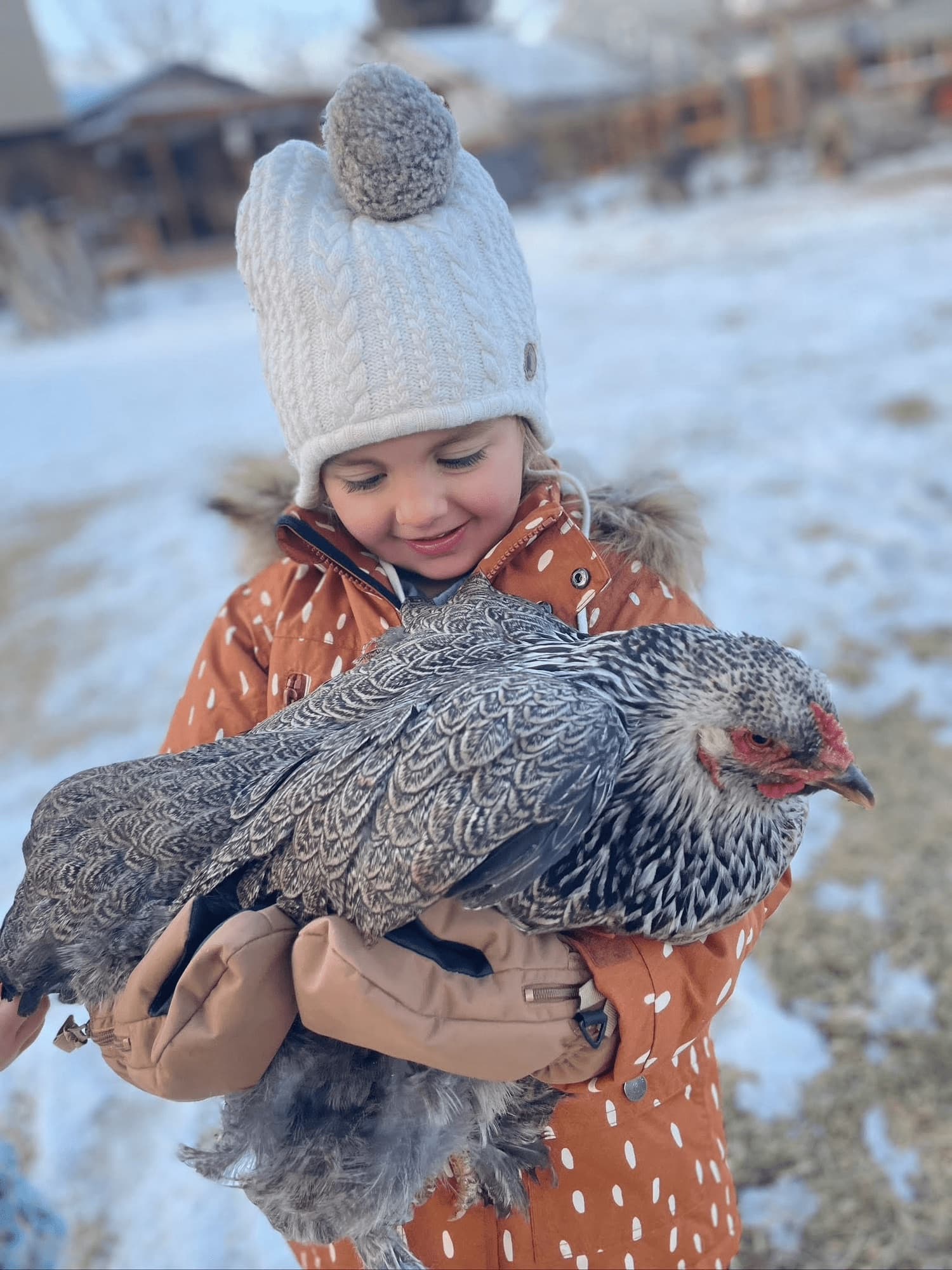 A child cradling a speckled hen in the snow