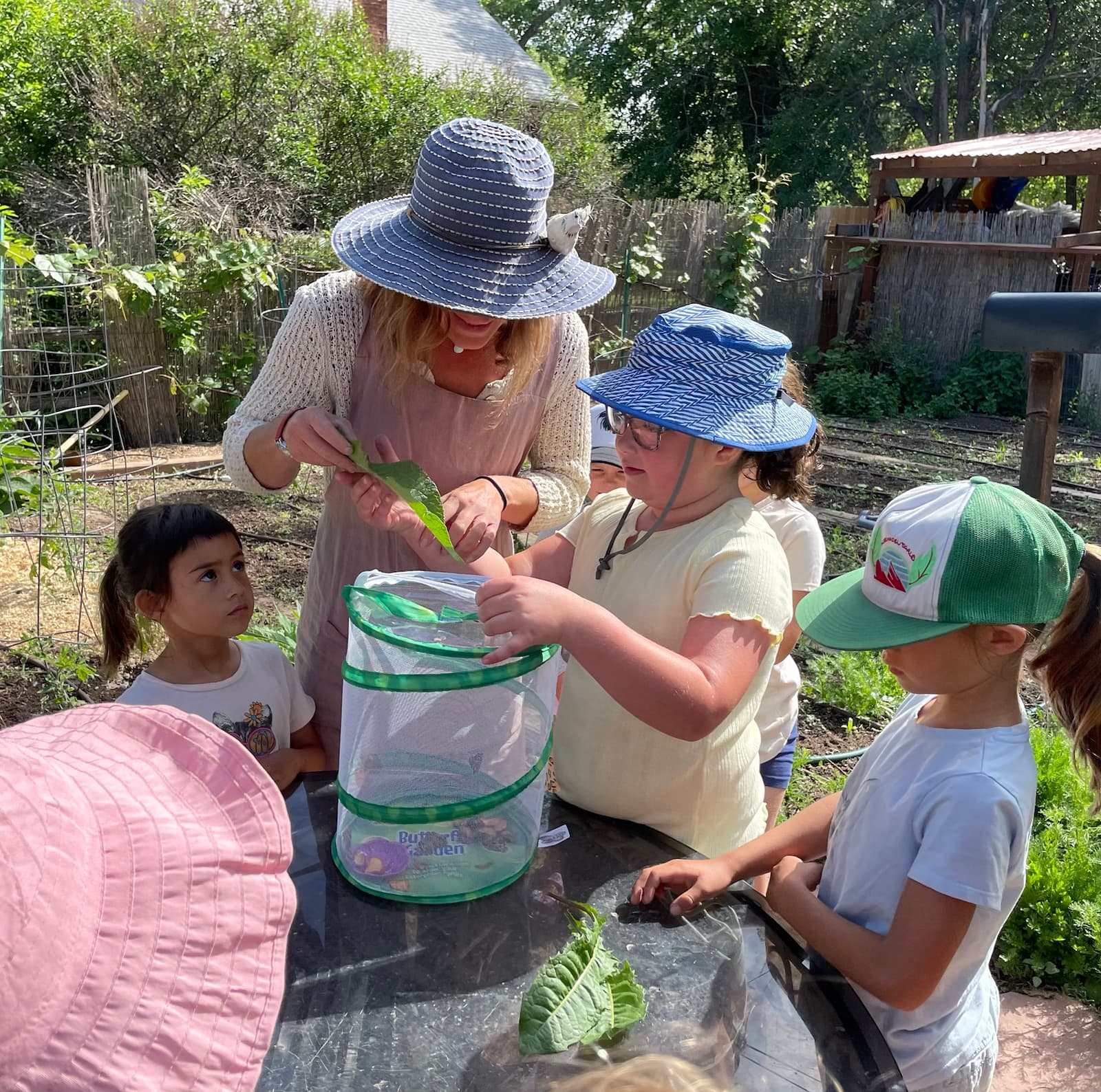 Ms. Rachel and a ring of campers in sun hats gathered round the mesh butterfly habitat in the garden