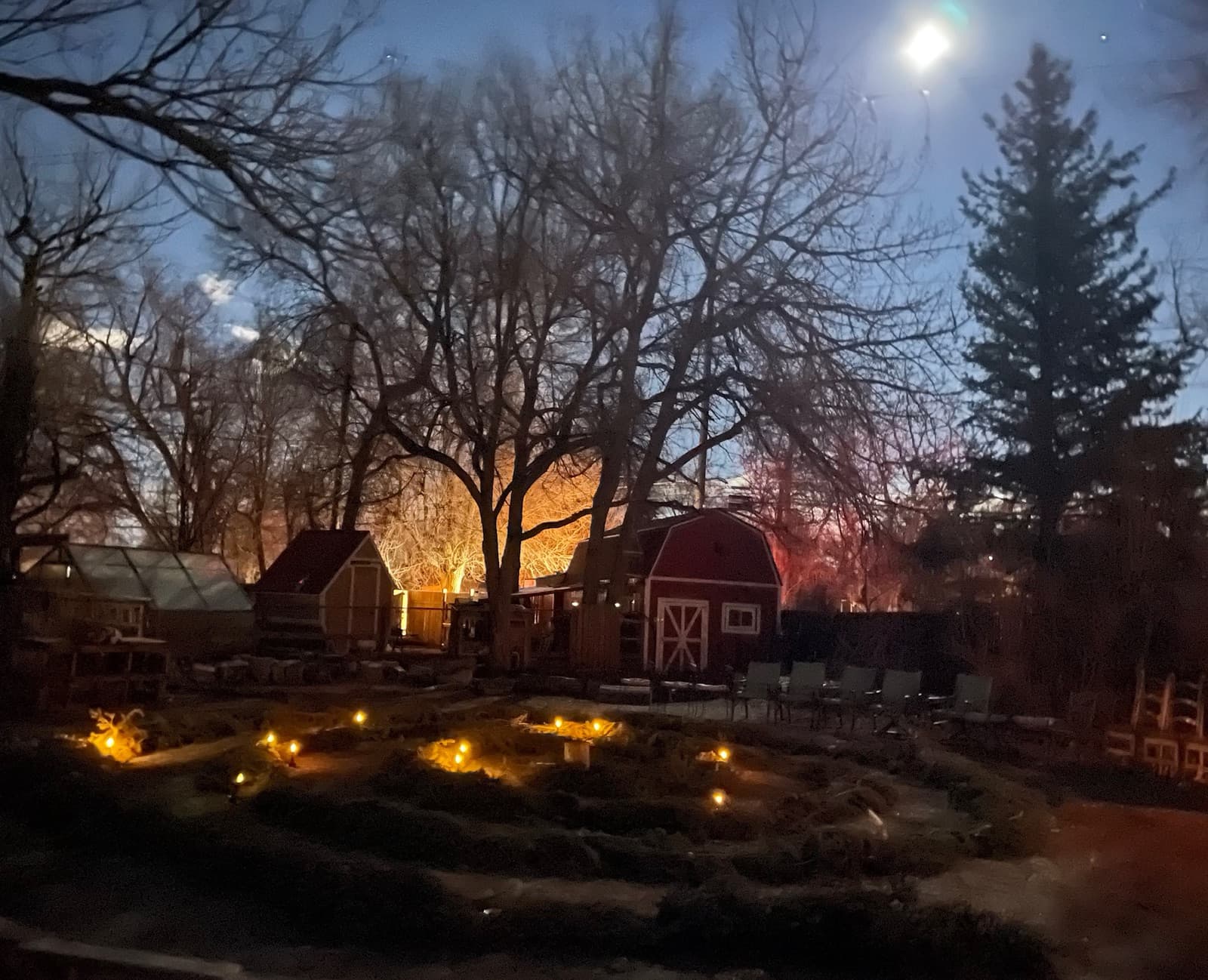 The spiral glowing with candlelight at dusk under the bare cottonwoods, the moon overhead