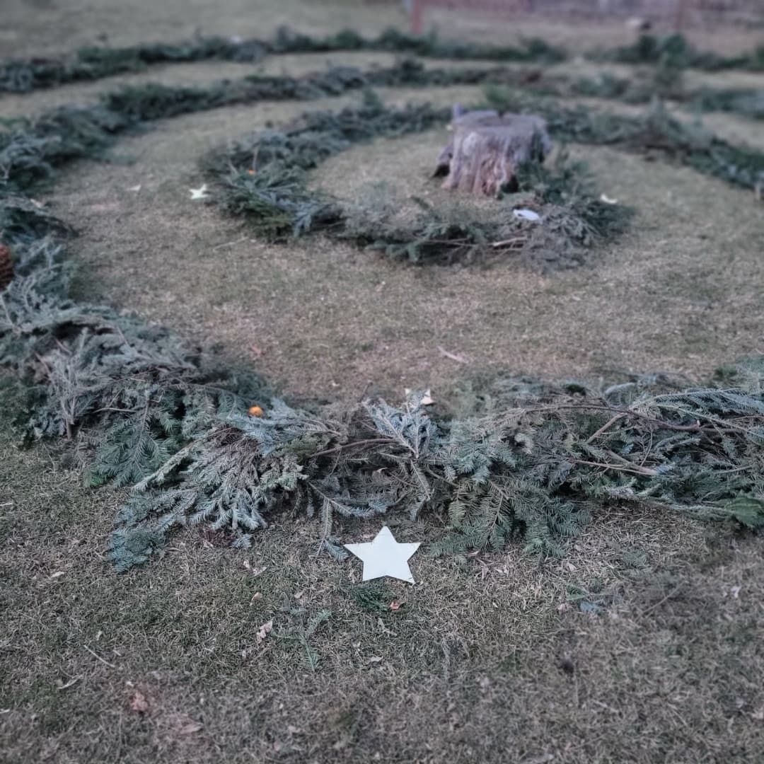 The evergreen spiral laid out on the winter grass, a paper star at its edge